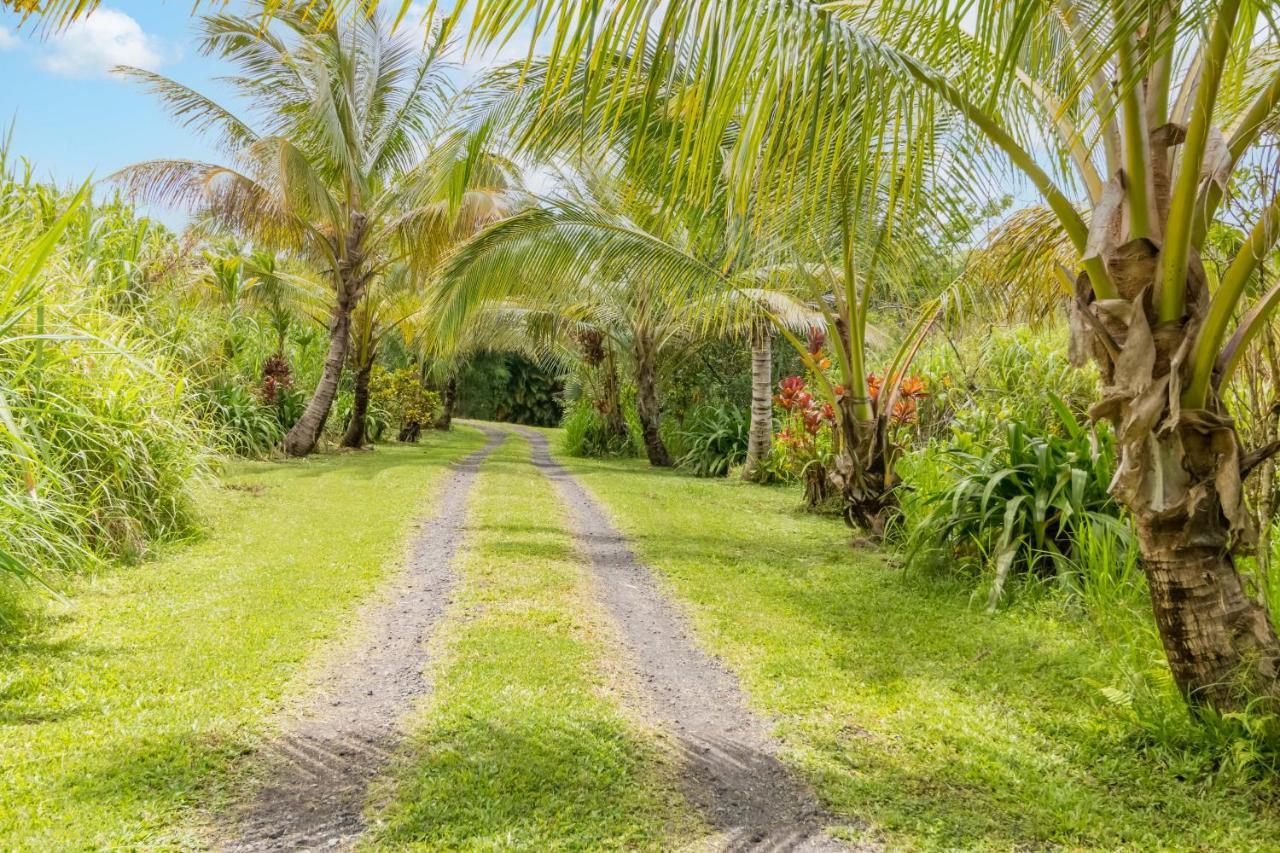 Off-Grid Getaway With Ocean Views In Paradise Pahoa Buitenkant foto