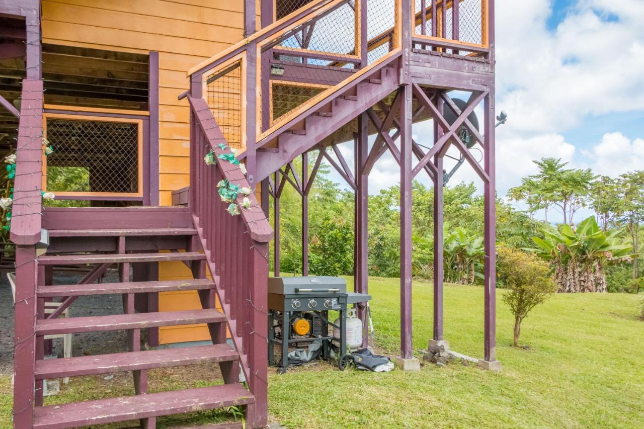 Off-Grid Getaway With Ocean Views In Paradise Pahoa Buitenkant foto