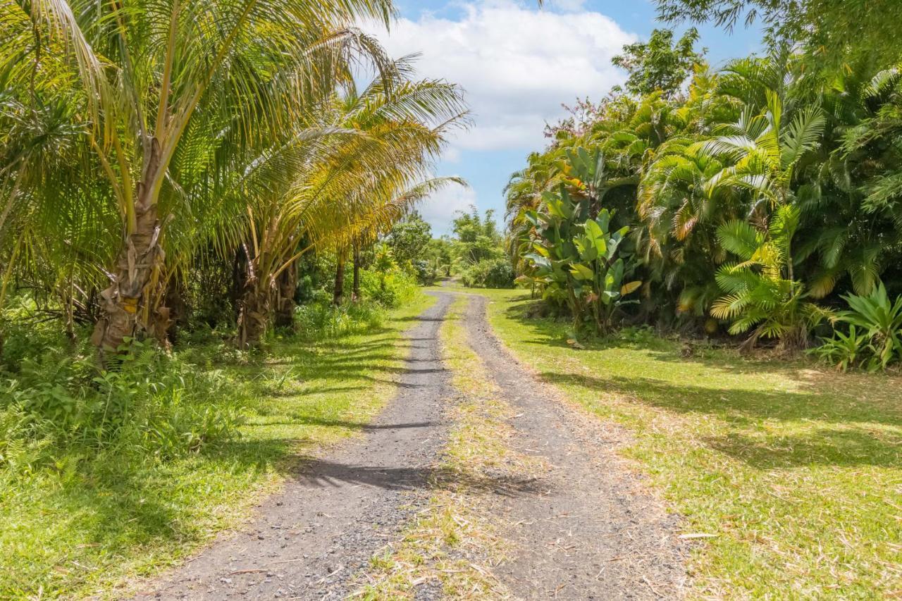 Off-Grid Getaway With Ocean Views In Paradise Pahoa Buitenkant foto