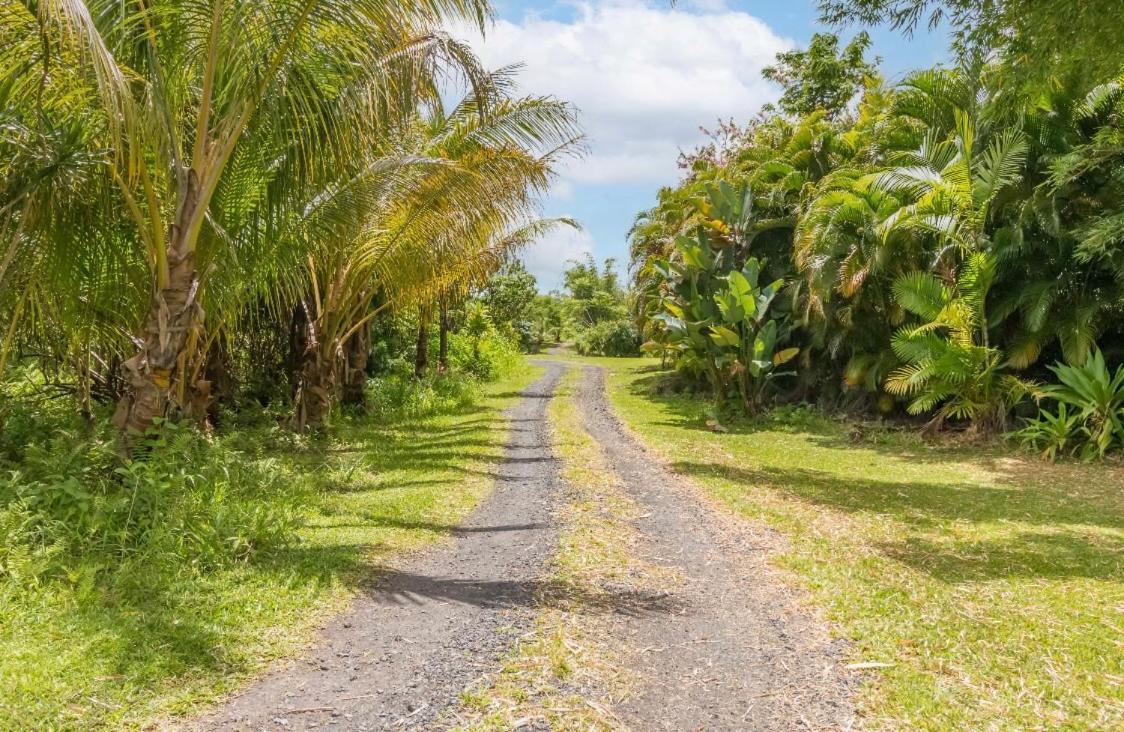 Off-Grid Getaway With Ocean Views In Paradise Pahoa Buitenkant foto